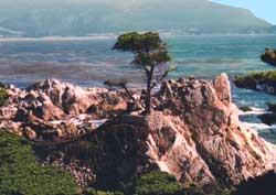 17-Mile Drive