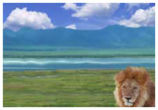 Ngorongoro Crater