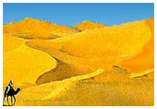 Sahara Desert