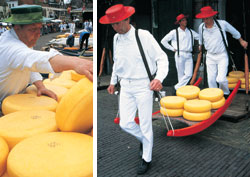 Holland Cheese Markets