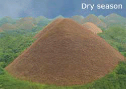 Chocolate Hills