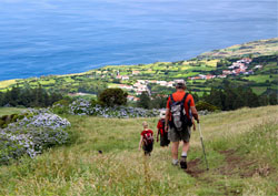 Azores