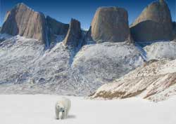Baffin Island