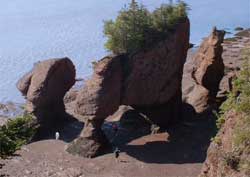 Bay of Fundy