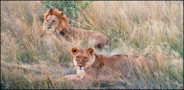 Botswana