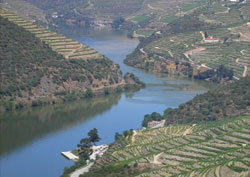 Douro Valley