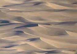 Interesting Dubai tidbits