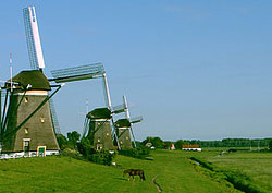 Dutch Windmills