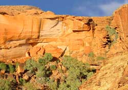 Kings Canyon