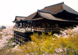 Kiyomizu Temple