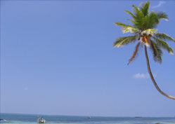 Lakshadweep Islands