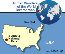 Sequoia National Park Map