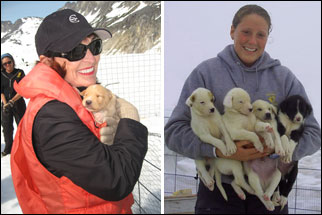 Glacier sightseeing with dog sledding