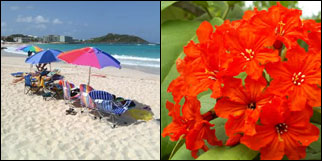 St Martin / St Maarten