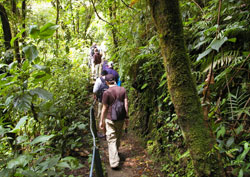 Monteverde Cloud Forest