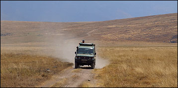 Safari