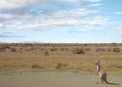Outback