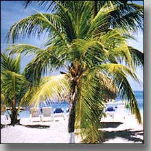 Bali Beaches