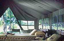 Masai Mara
