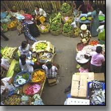 Bali Food