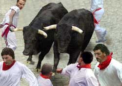 Pamplona