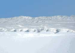 Polar Icecap