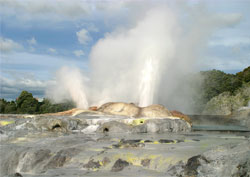 Rotorua Thermal Area