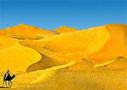 Sahara Desert