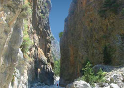 Samaria Gorge