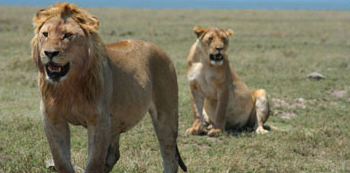 South Africa