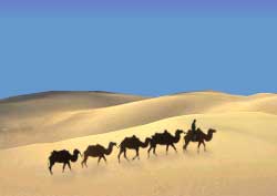 Silk Road