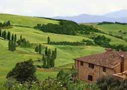 Tuscan Countryside