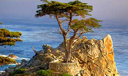 17-Mile Drive