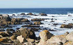 17-Mile Drive