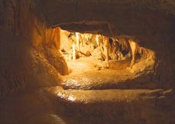 Waitomo Caves